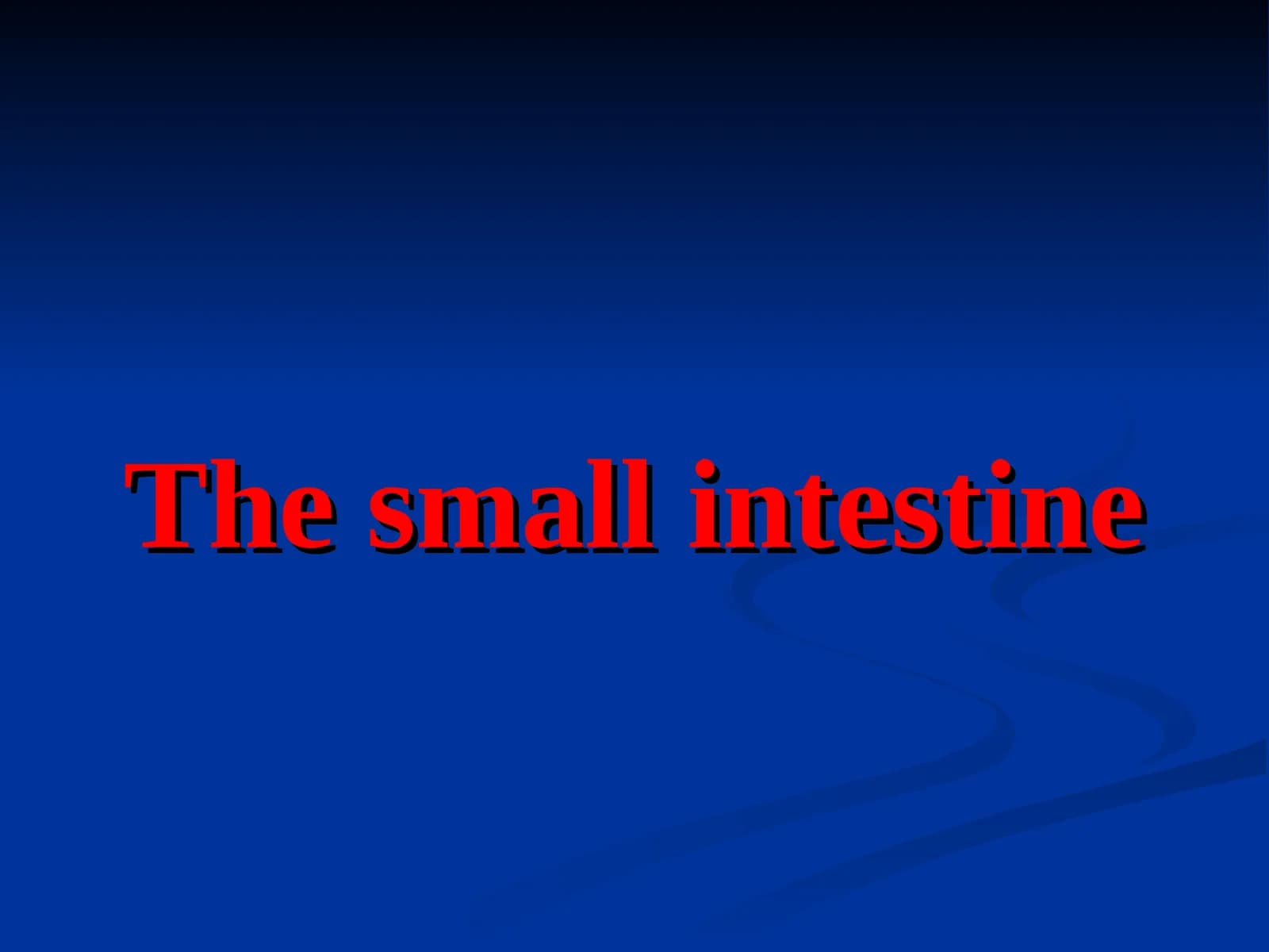 The small intestine