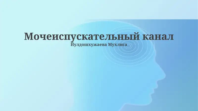 Мочеиспускательный канал