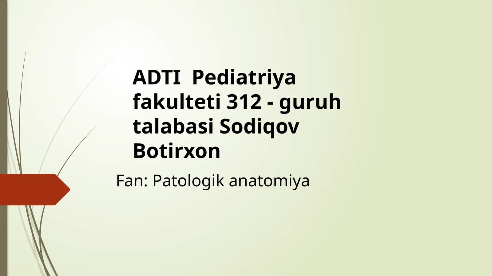 PerikardAnatomiyasivaFiziologiyasi
