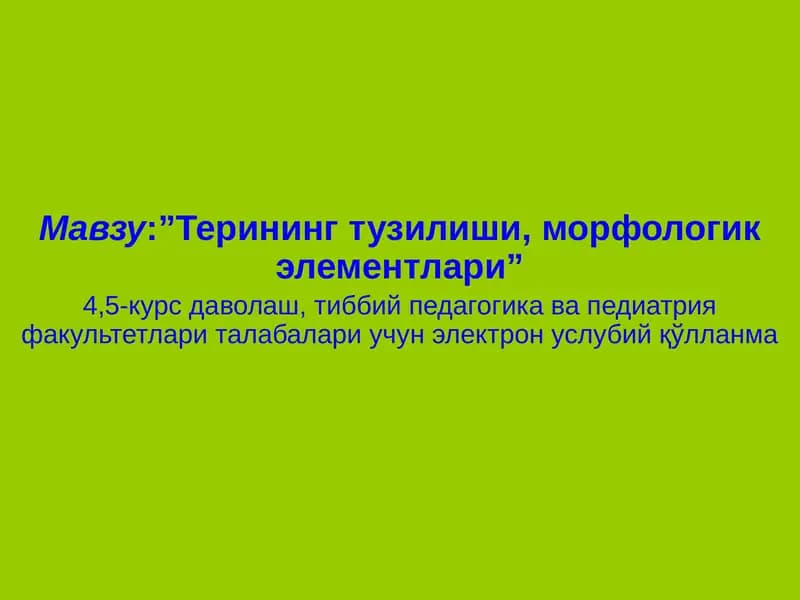 Терининг тузилиши, морфологик элементлари”