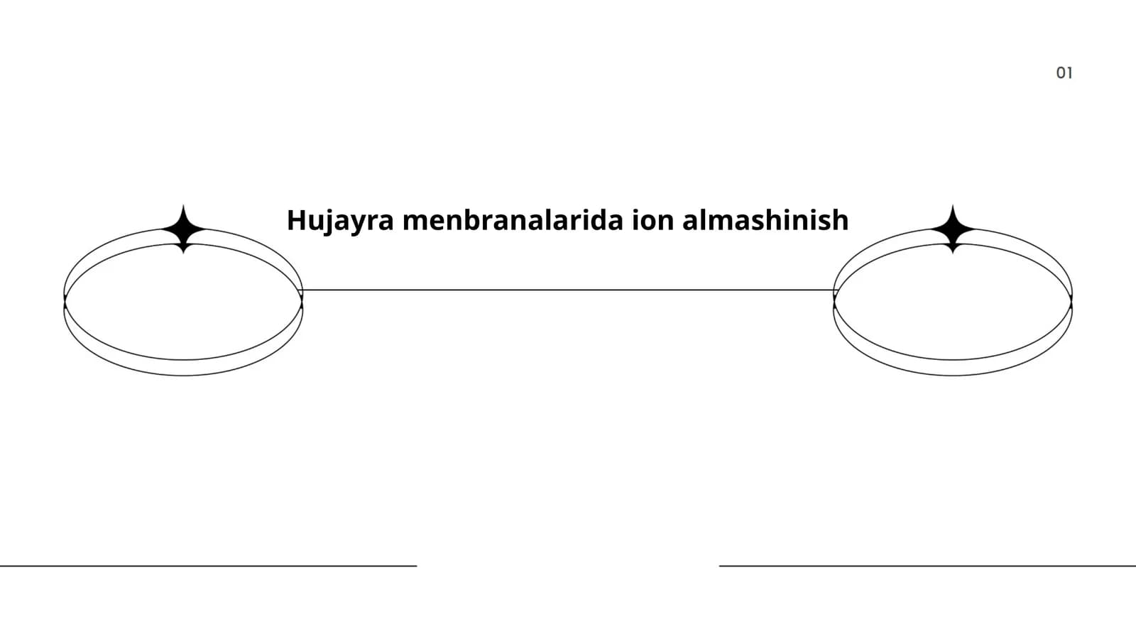 Hujayra menbranalarida ion almashinish