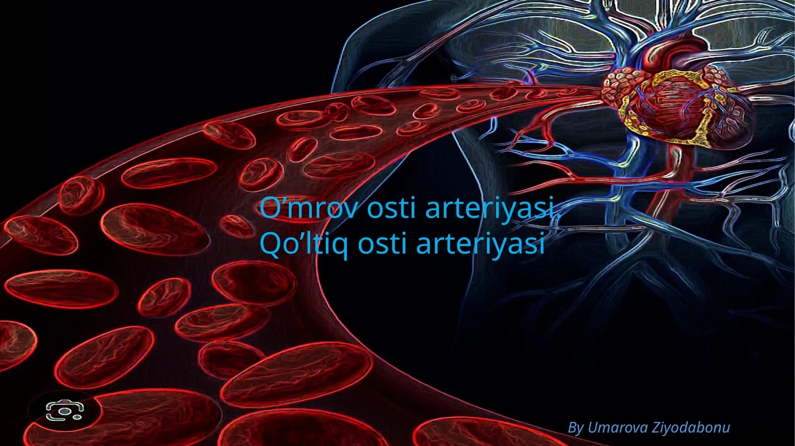 O’mrovostiarteriyasi.Qo’ltiqostiarteriyasi