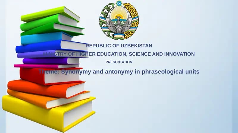 Understanding Phraseological Units