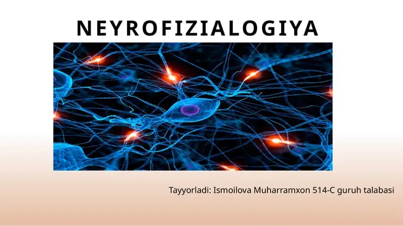 Neyrofizialogiya