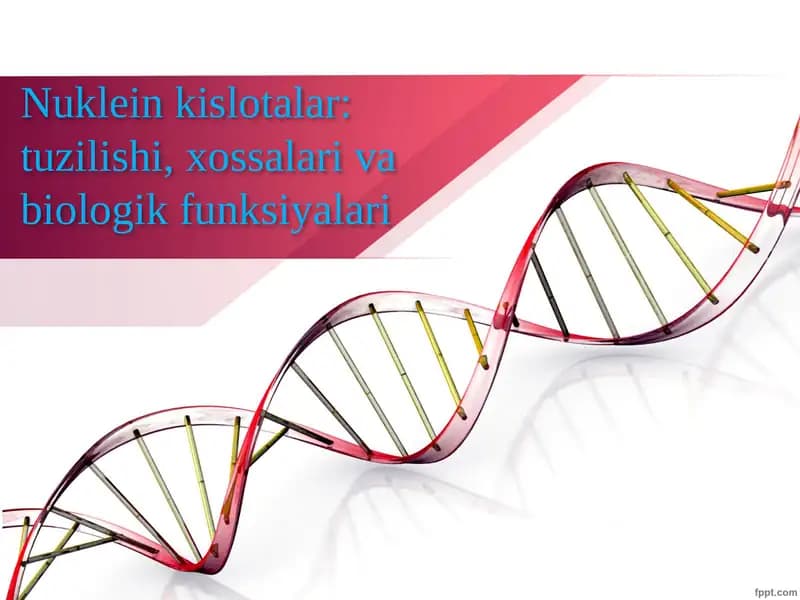 Nuklein kislotalar: tuzilishi, xossalari va biologik funksiyalari
