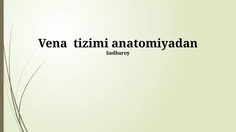 Tomirlar Tizimi Anatomiyasi