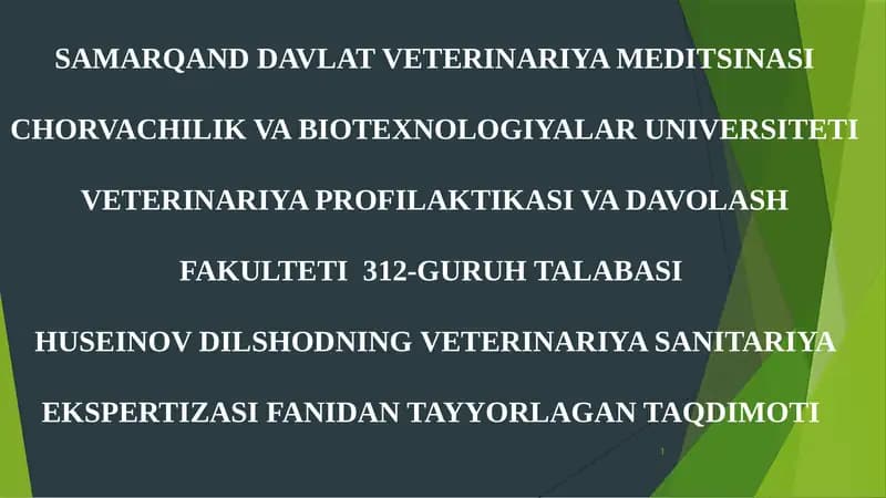 Tuzlangan sabzovotlarni sanitariya jixatdan tekshirish