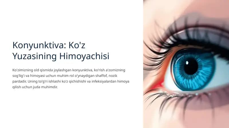 Konyunktiva: Ko'z Yuzasining Himoyachisi