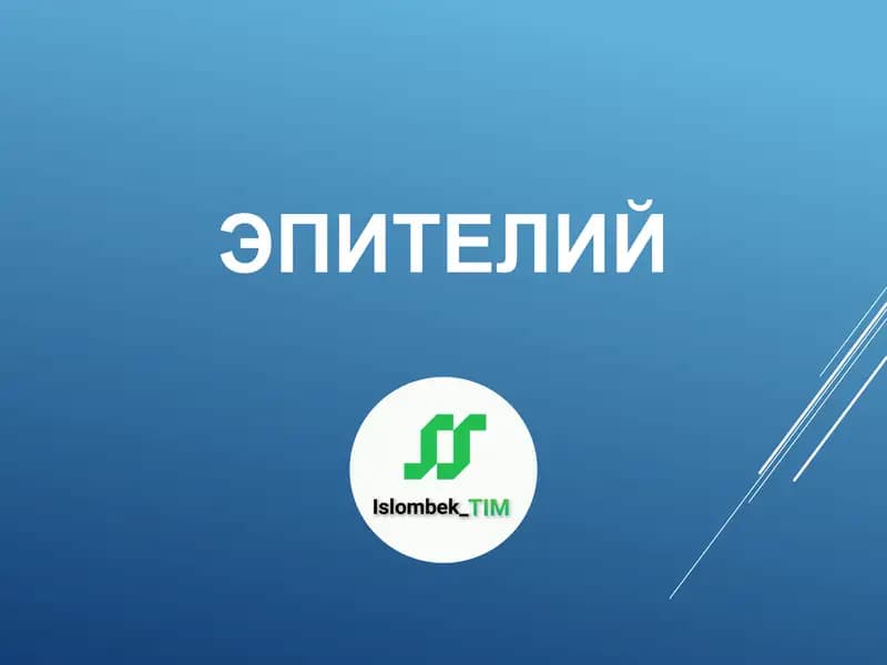 Эпителий