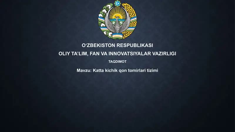 Kattakichik qontomirlar itizimi