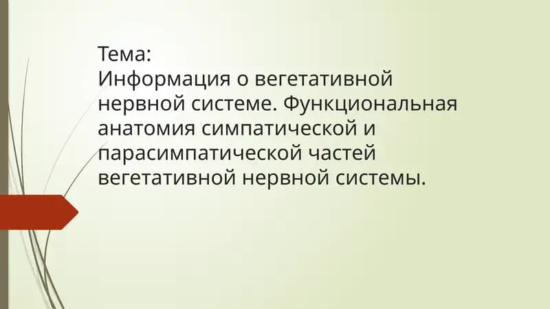 Информация о вегетативной нервной системе