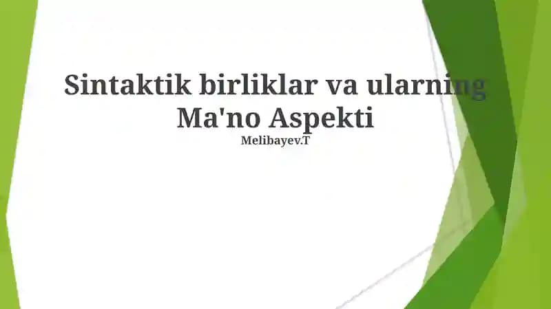 Sintaktik birliklar va ularning Ma'no Aspekti