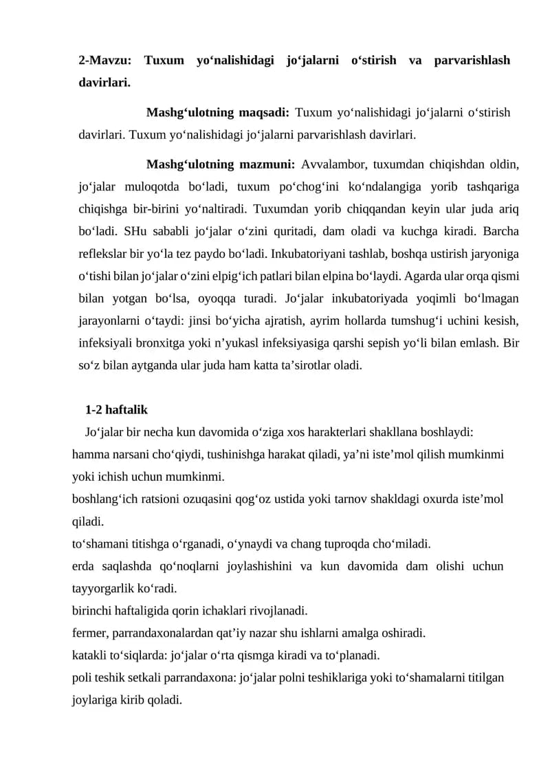 Tuxum yo‘nalishidagi jo‘jalarni o‘stirish va parvarishlash davirlari