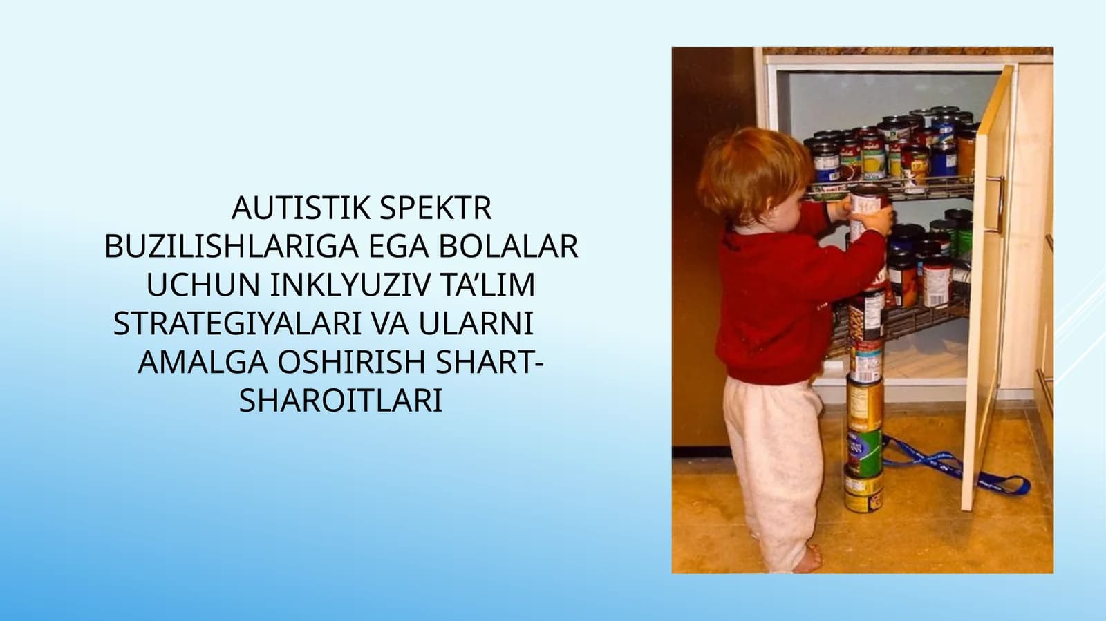 Autistik spektr buzilishlariga ega bolalar uchun inklyuziv ta’lim strategiyalari