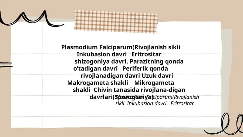 Plasmodium Falciparum