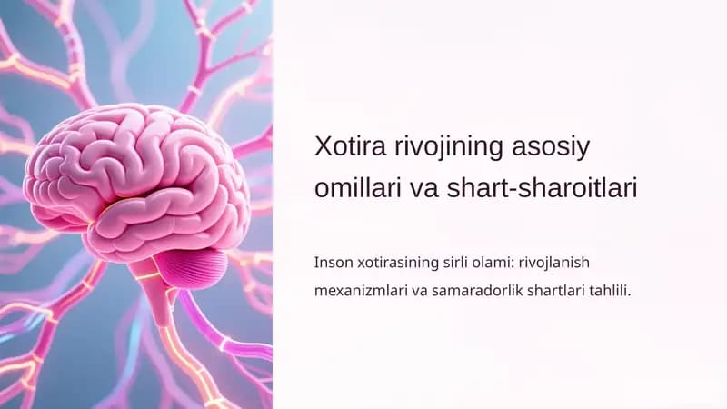 Xotira rivojining asosiy omillari va shart-sharoitlari