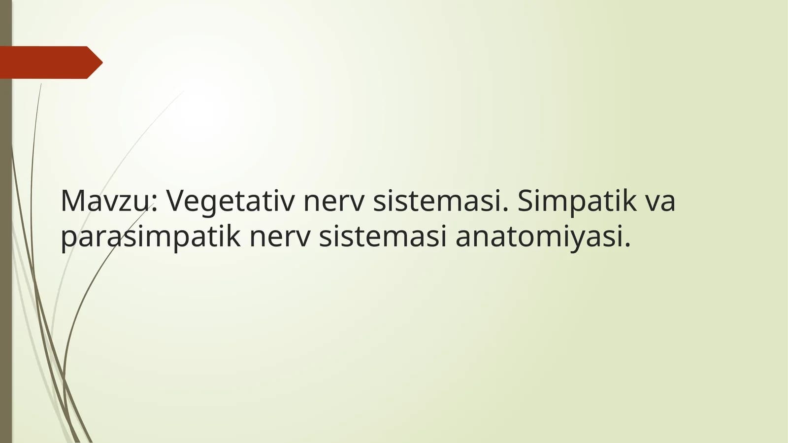Vegetativ nerv sistemasi anatomiyasi