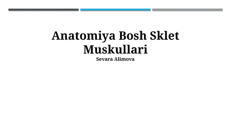 Anatomiya Bosh Sklet Muskullari