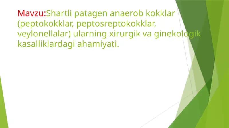 Shartlipatagen anaerob kokklar