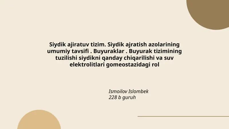Siydik ajiratuv tizim