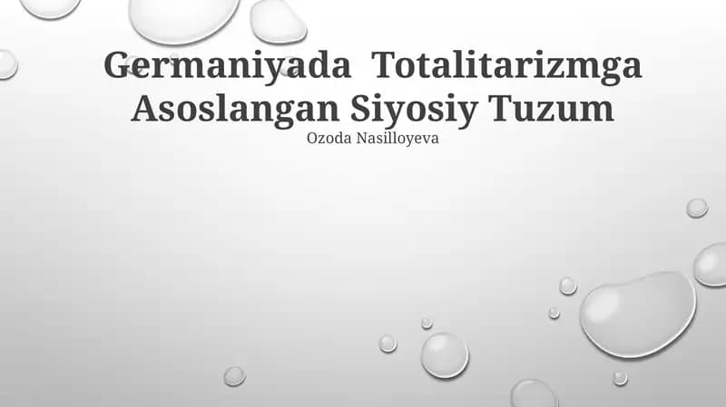 Germaniyada Totalitarizmga Asoslangan Siyosiy Tuzum
