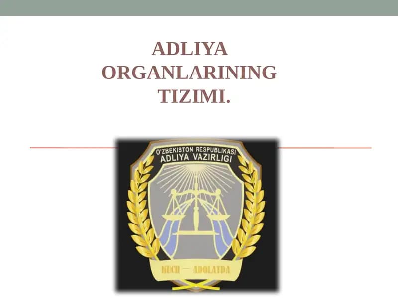 ADLIYA ORGANLARINING TIZIMI