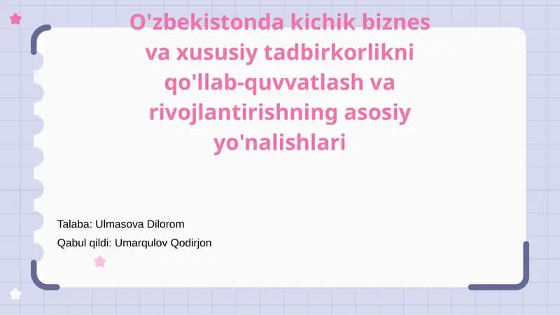Kichik Biznes va Xususiy Tadbirkorlikni Qo'llab-Quvvatlash