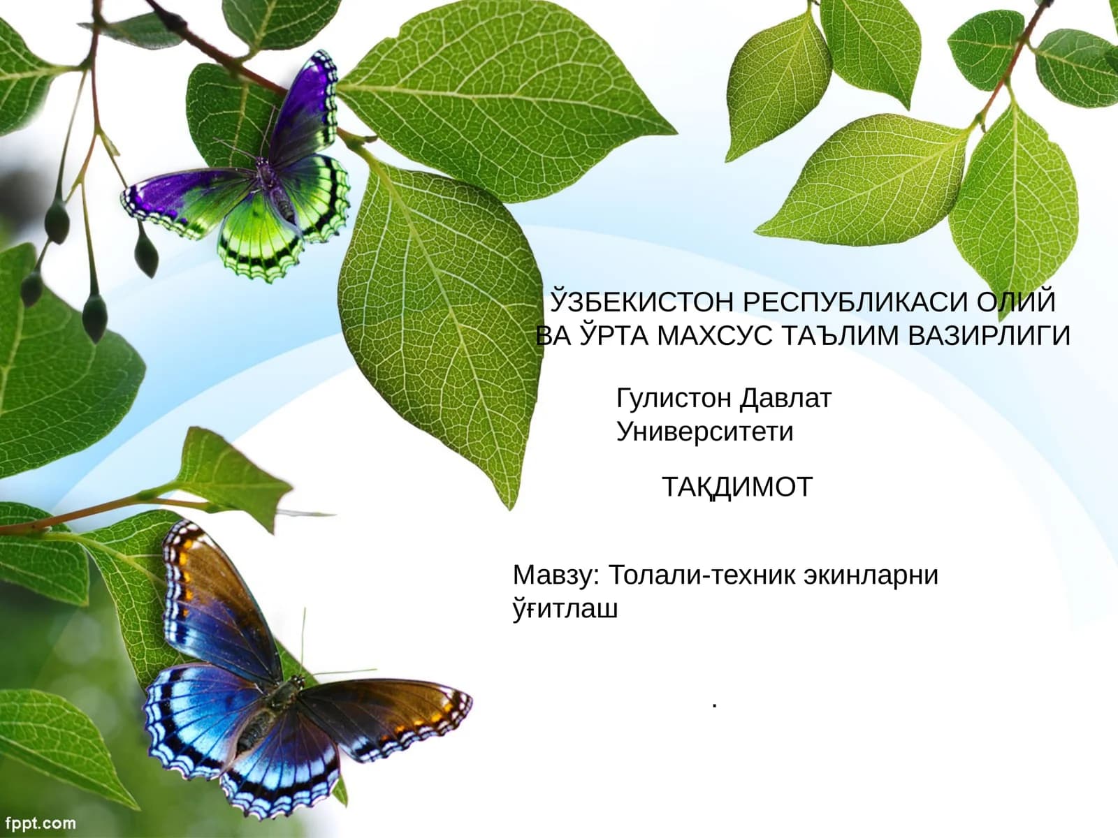 Ғўза - қимматбахо техникавий экин