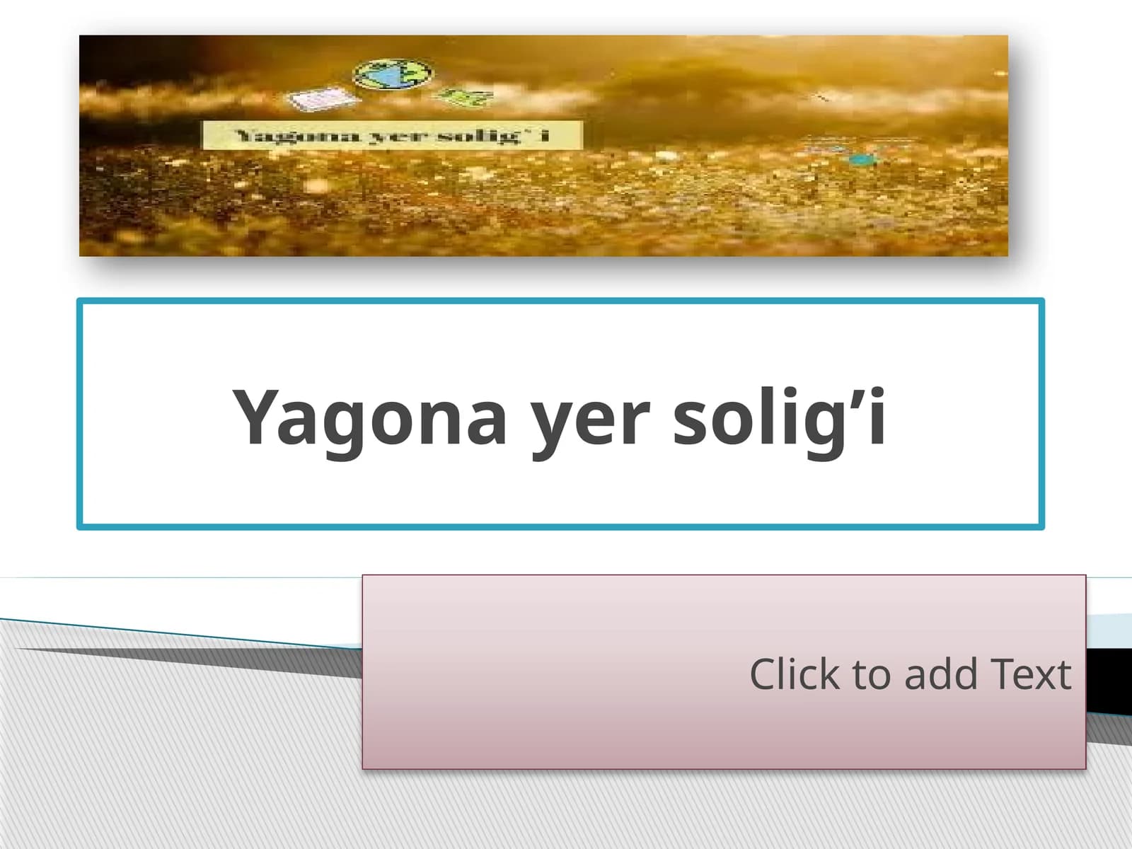 Yagona yer solig’i