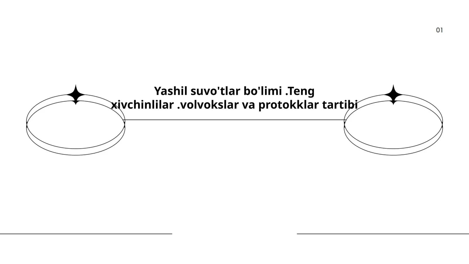 Yashil suvo'tlar bo'limi.Teng xivchinlilar.volvokslar va protokklar tartibi