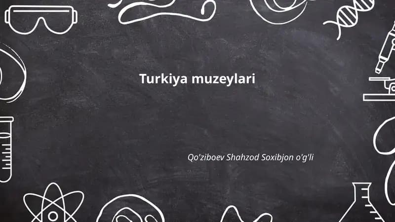 Istanbuldagi Topqapi saroyi muzeyi