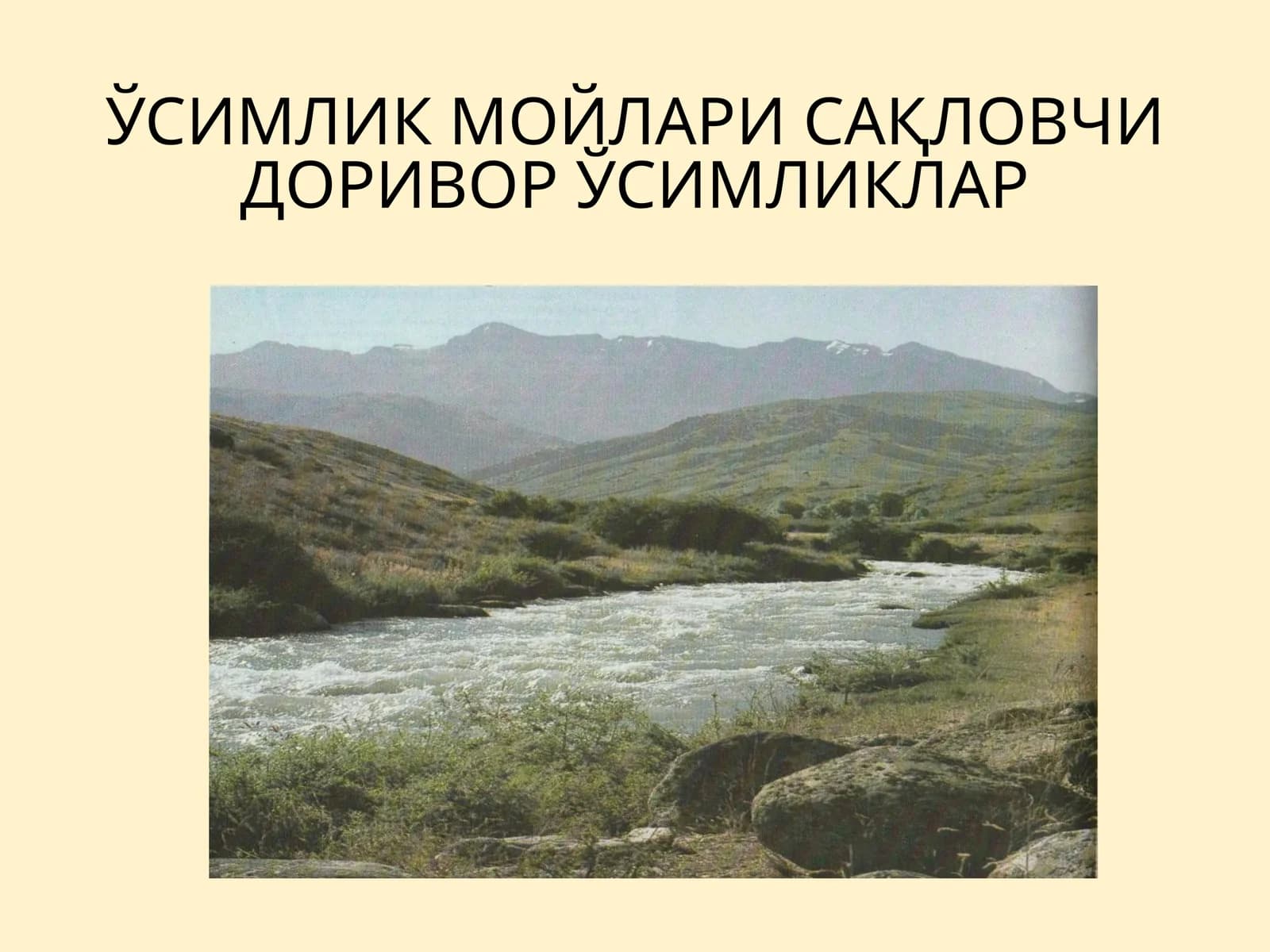 Ўзимлик мойлари