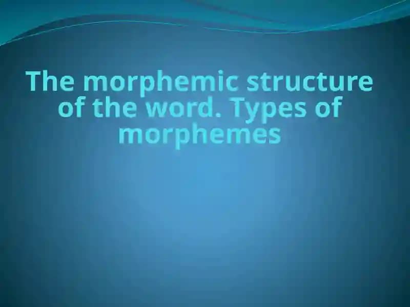 The morphemic structure of the word