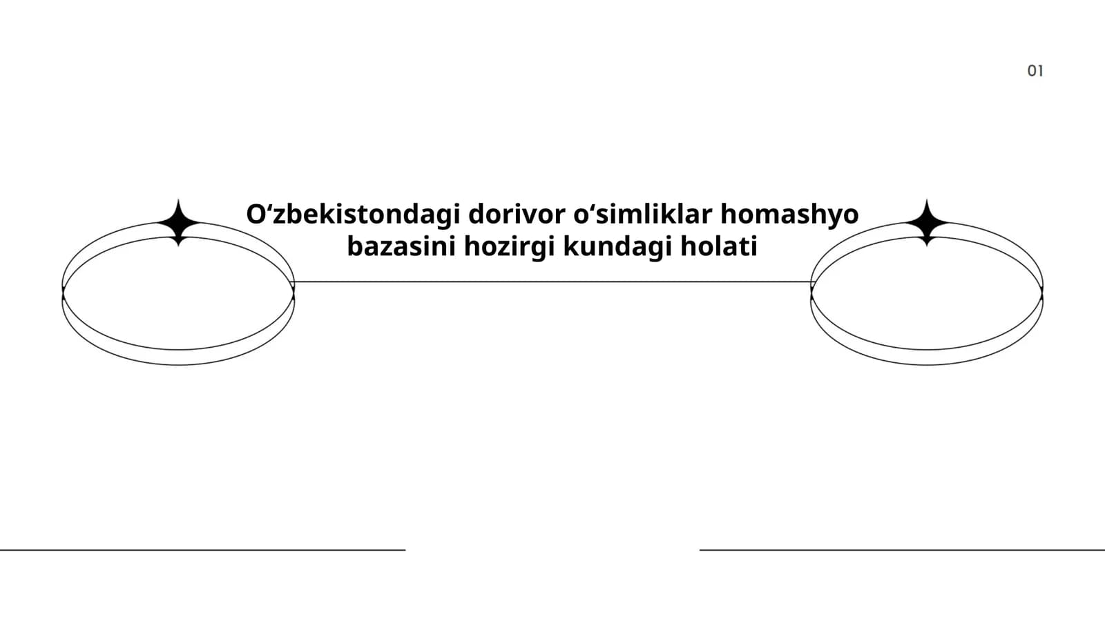 Oʻzbekistondagi dorivor oʻsimliklar homashyo bazasini hozirgi kundagi holati