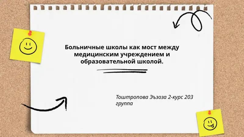 Больничные школы