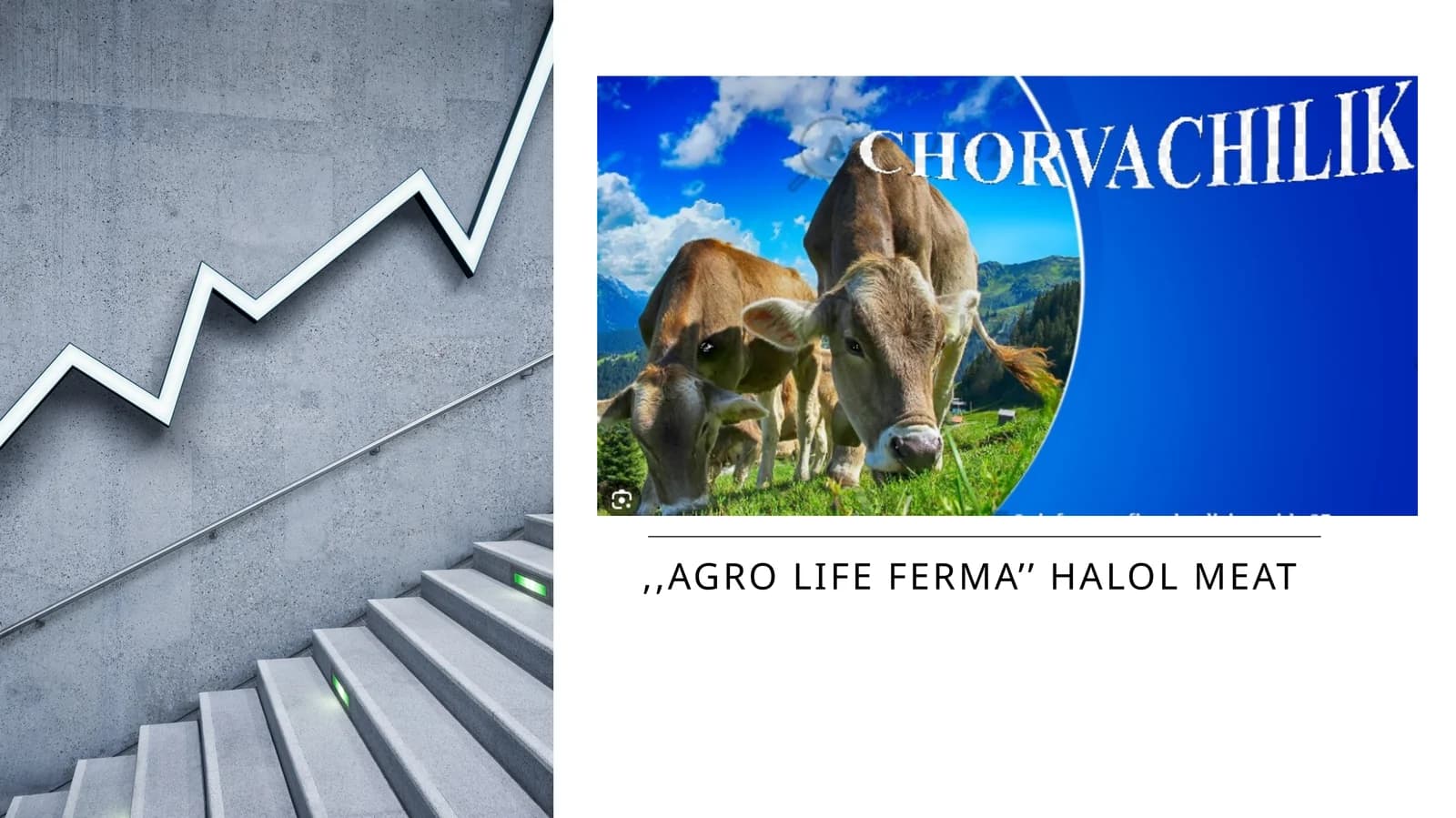 agro life ferma’’ Halol meat