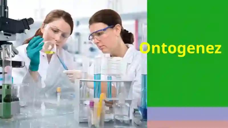 Ontogenez