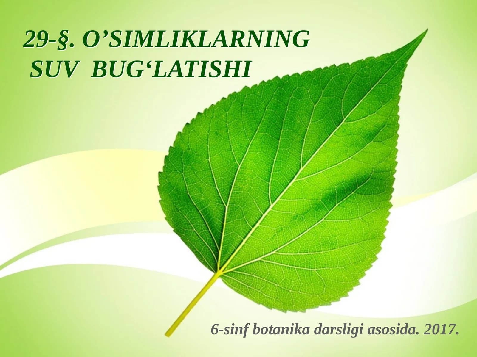 6-sinf Botanika dars ishlanma. O'simliklarning suv bug'latishi