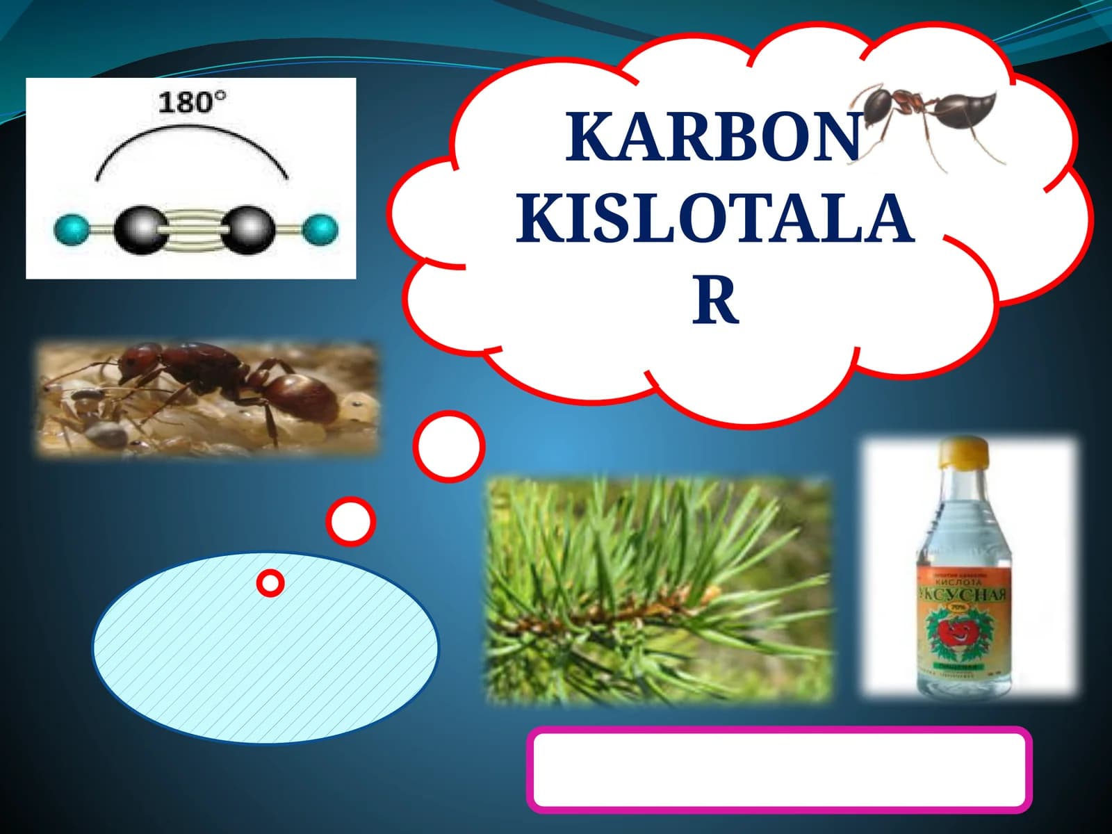 KARBON