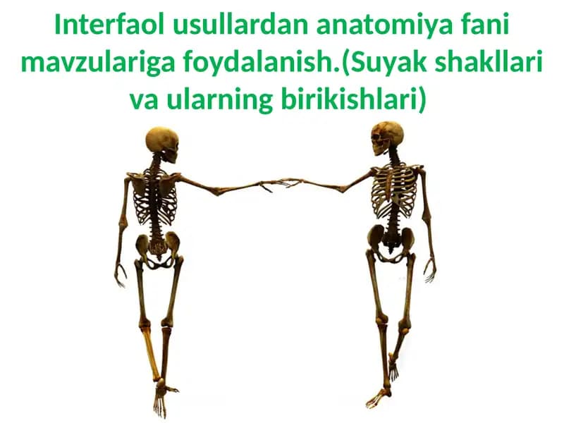 Interfaol usullardan anatomiya fani mavzulariga foydalanish.(Suyakshakllarivaularningbirikishlari)