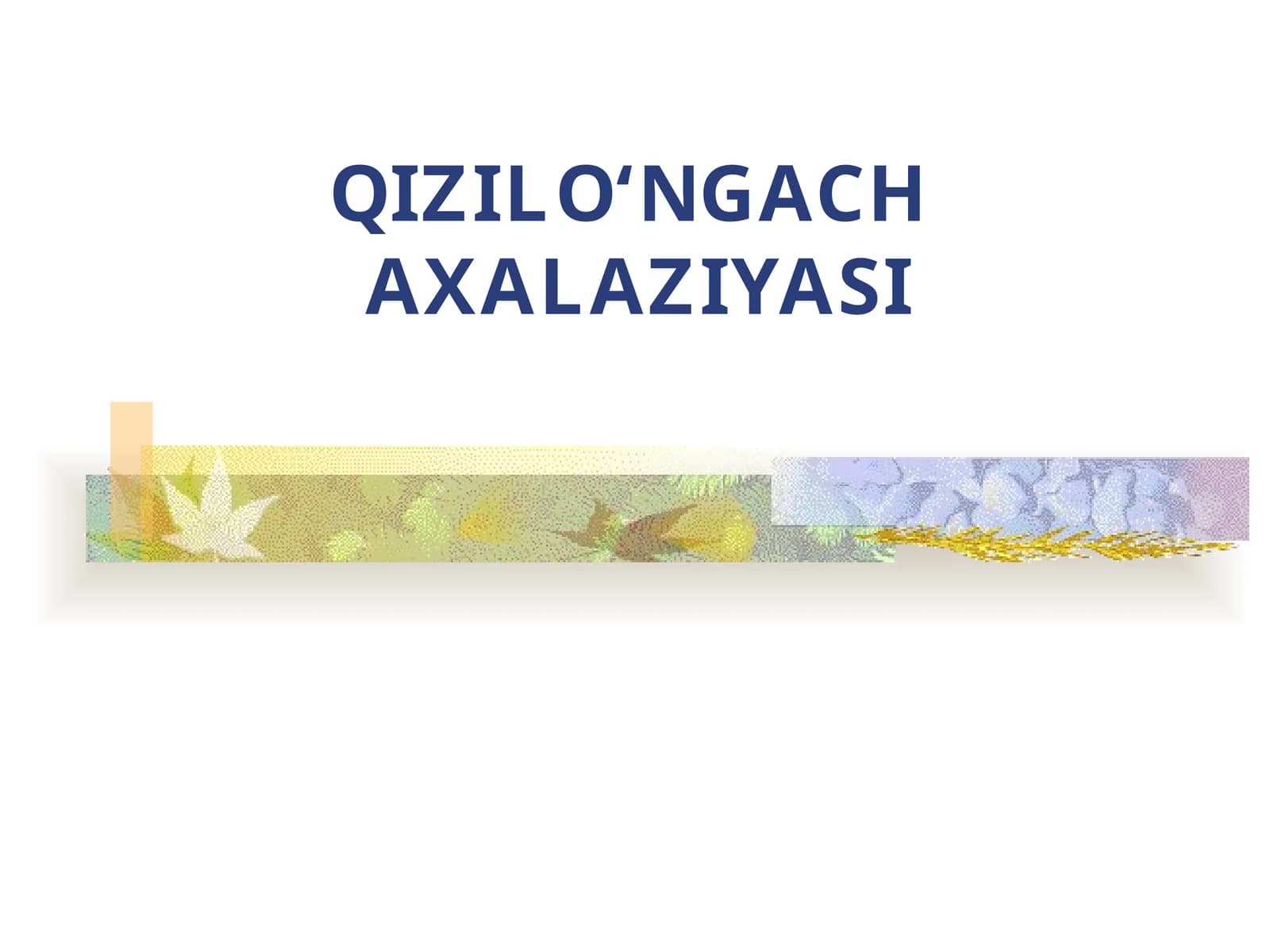 QIZILO‘NGACH  AXALAZIYASI