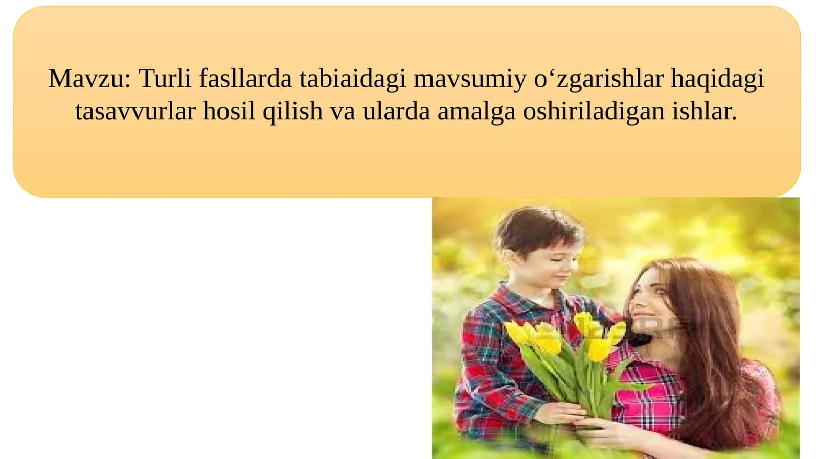 Turli fasllardatabiatdagimavsumiy o‘zgarishlar haqidagi tasavvurlar