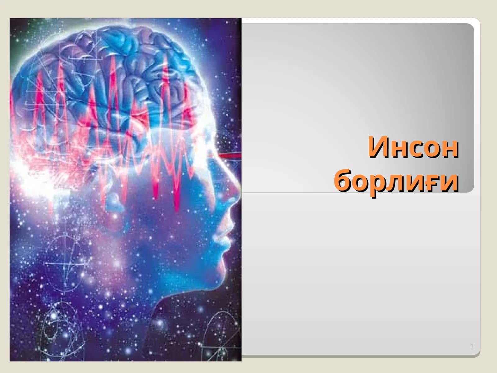 ОНГНИНГ БОРЛИҒИ