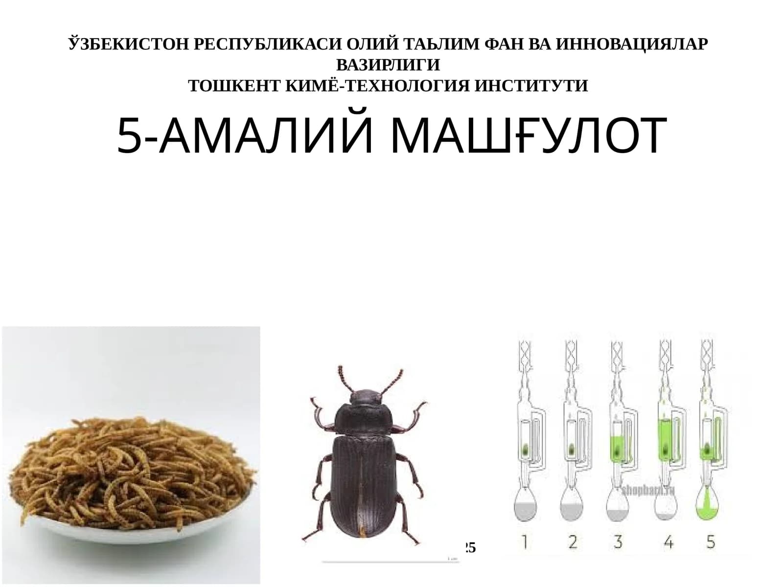 5-АМАЛИЙ МАШҒУЛОТ