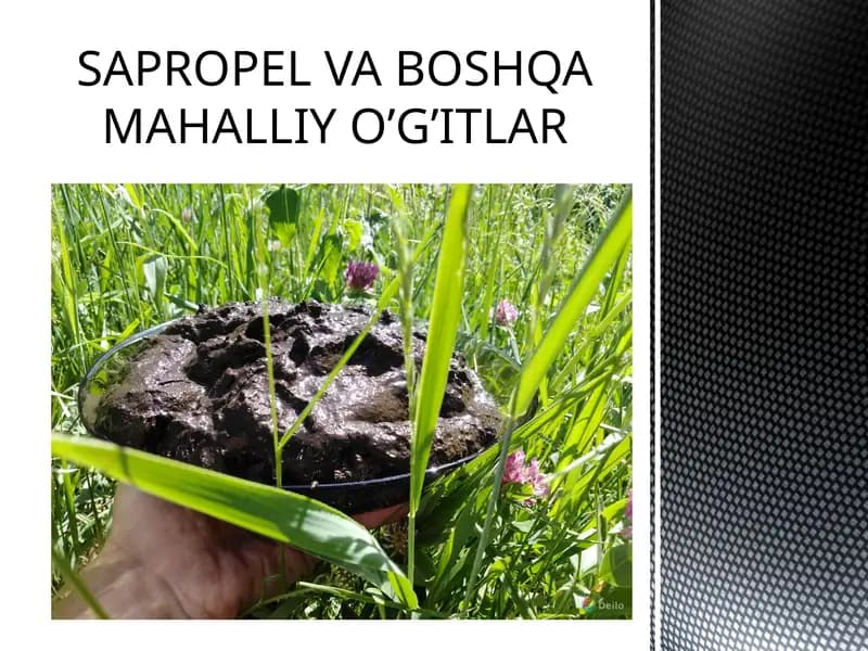 SAPROPEL VA BOSHQA MAHALLIY O’G’ITLAR