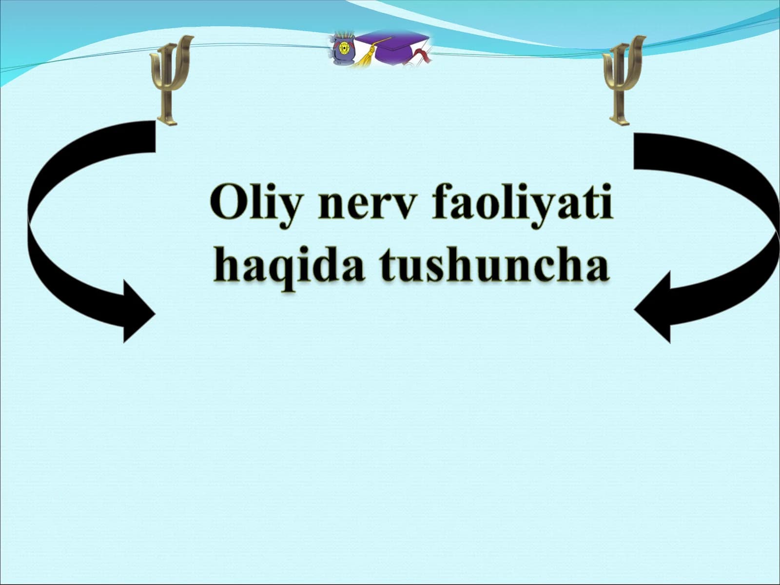 Oliy nerv faoliyati