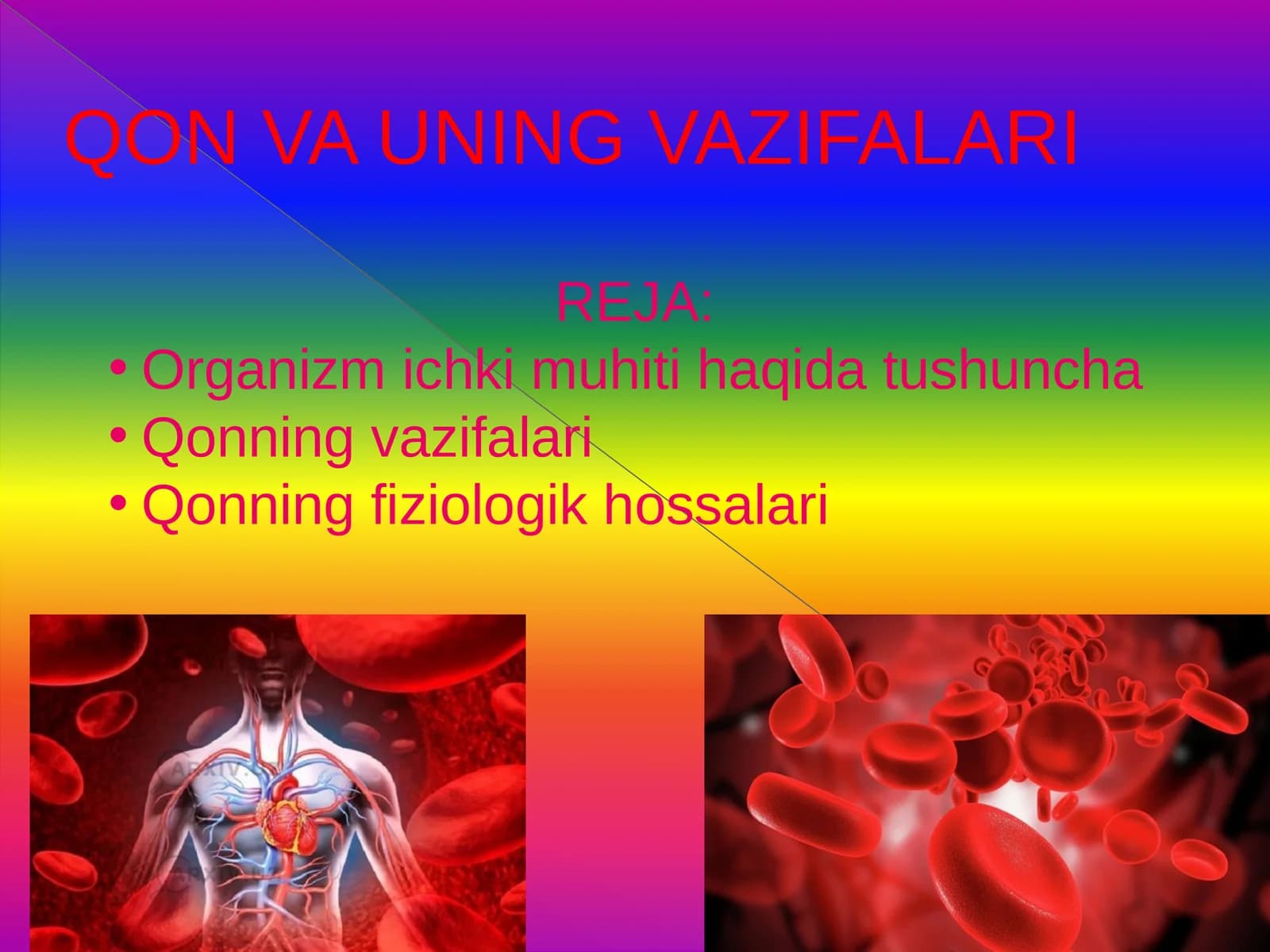 Qon va uning vazifalari