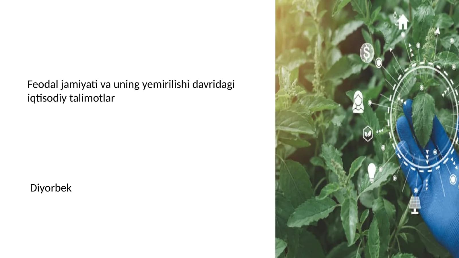 Feodal jamiyati va uning yemirilishi davridagi iqtisodiy talimotlar