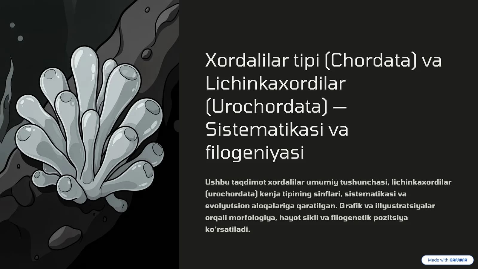 Xordalilar tipi (Chordata) va Lichinkaxordilar (Urochordata) - Sistematikasi va filogeniyasi