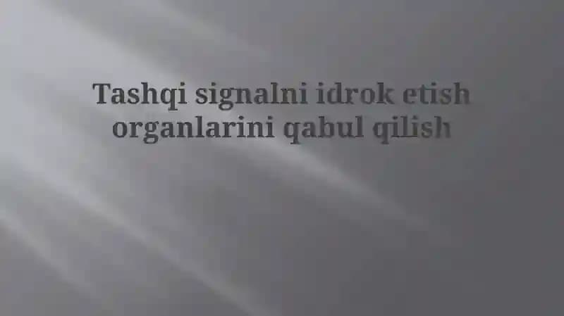Sezgi organlari tomonidan tashqi signallarni qabul qilish: Ta'rif va turlari